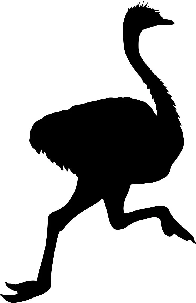 Ostrich Running Silhouette Free SVG for Fiber Laser Cutting and Engraving