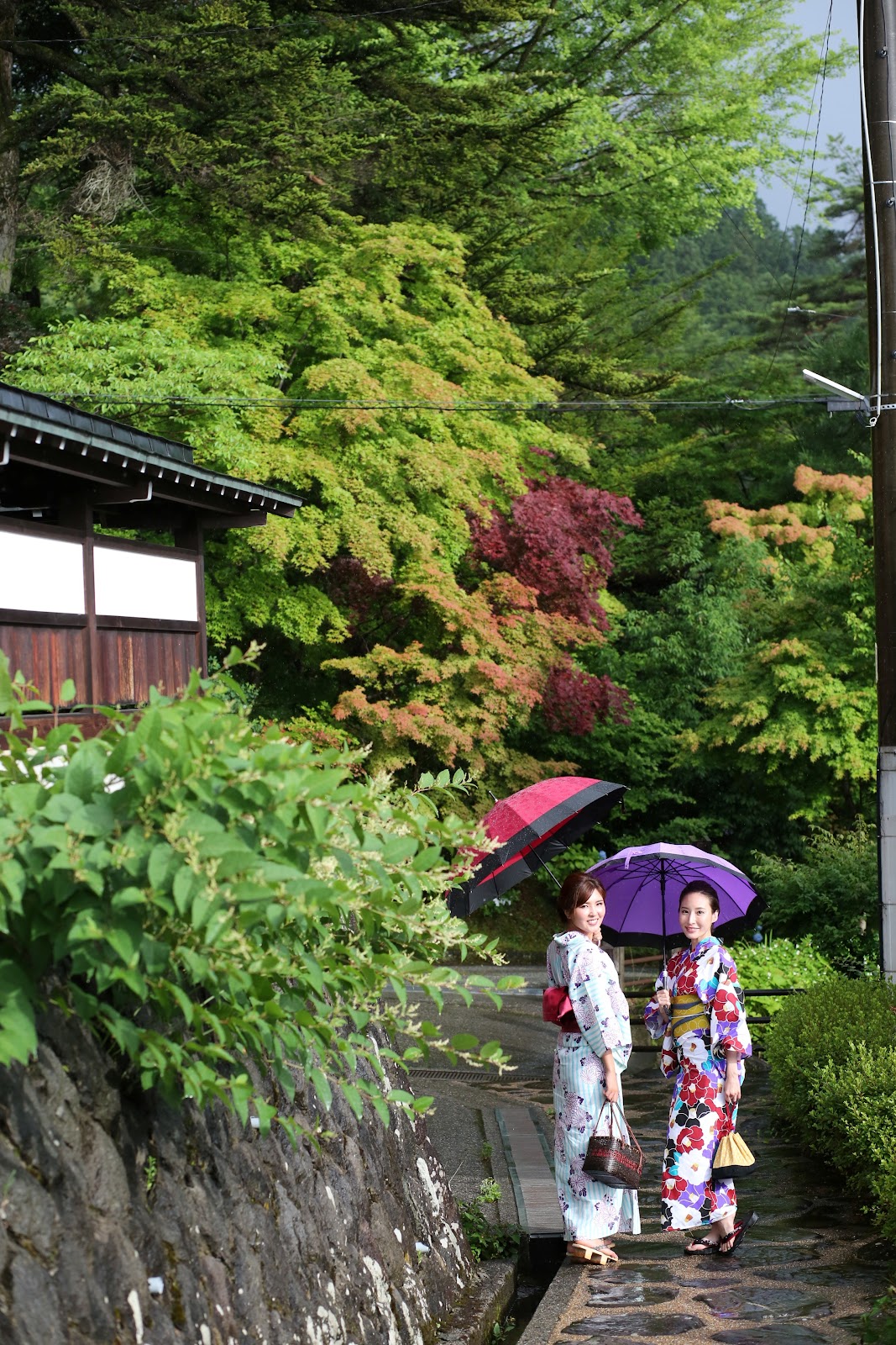 東山遊歩道(夏)