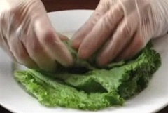 Đặt lá xà lách lên đĩa, cho vào bún, lá bạc hà, cà rốt, tôm, cuộn lại.