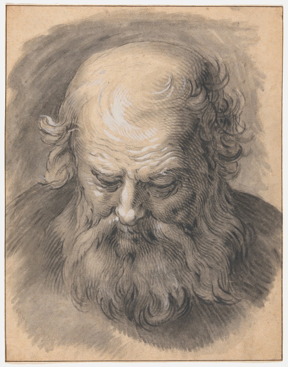 Study of the Head of a Bearded Man 1595 1605
