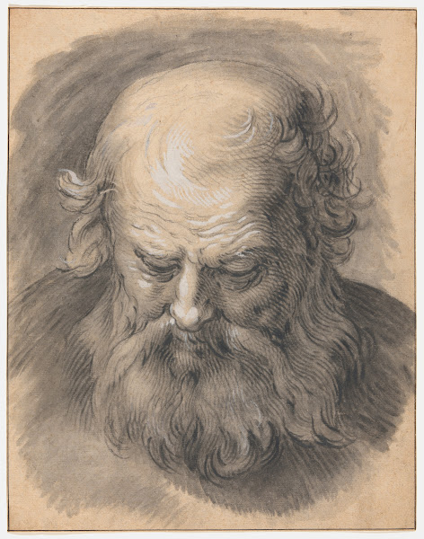 Study of the Head of a Bearded Man 1595 1605