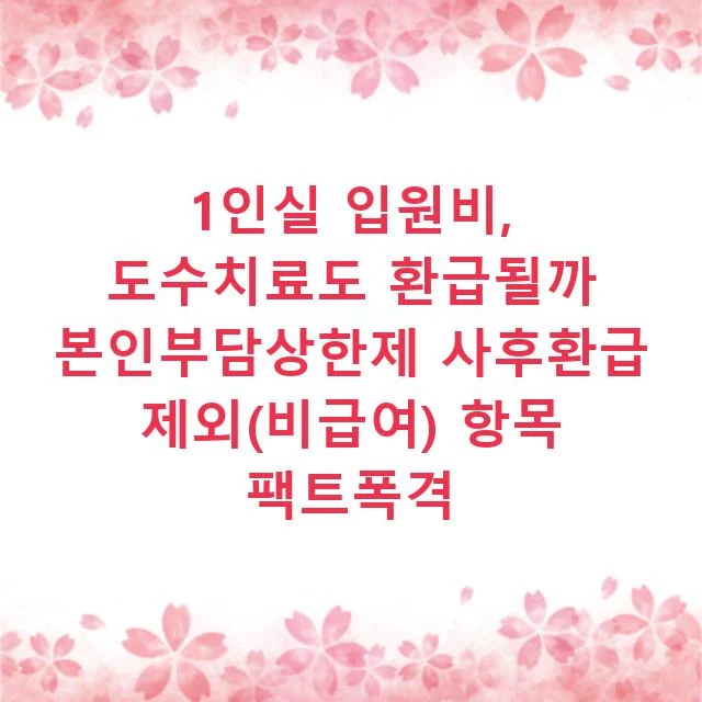 1인실 입원비, 도수치료도 환급될까 본인부담상한제 사후환급 제외(비급여) 항목 팩트폭격