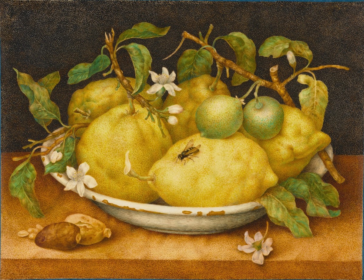 Still Life With Bowl Of Citrons late 1640s