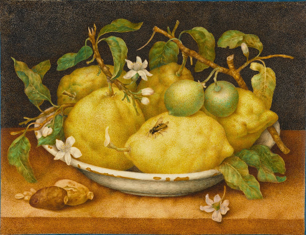Still Life With Bowl Of Citrons late 1640s