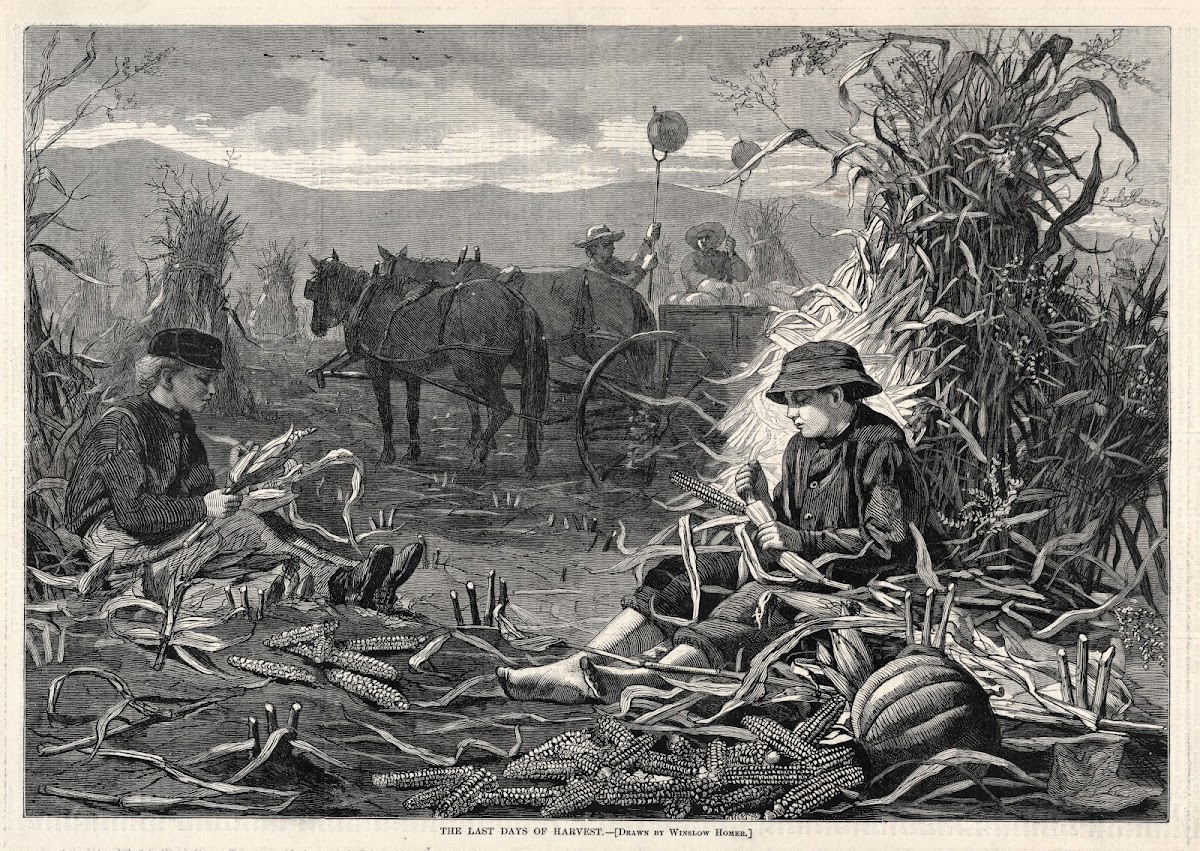 The Last Days of Harvest 1873