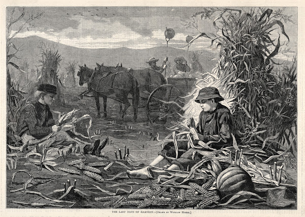 The Last Days of Harvest 1873