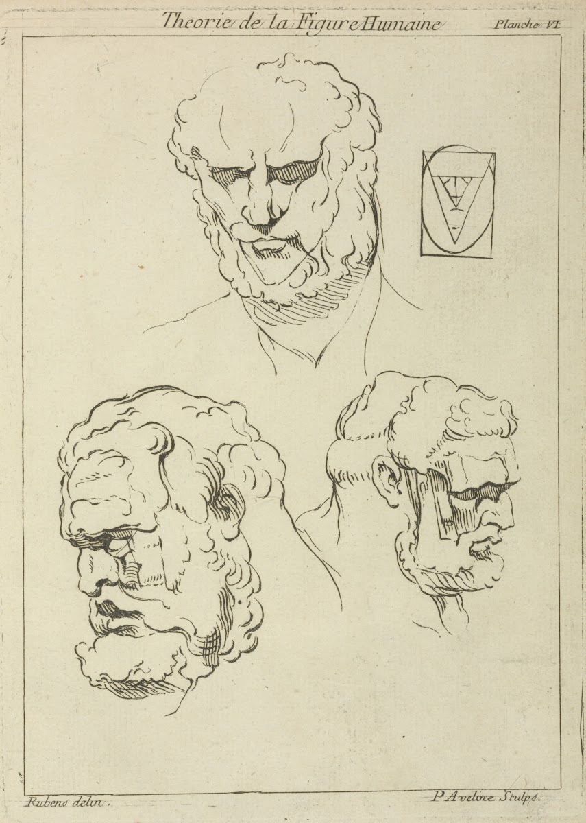 Three studies of a mans head and beard