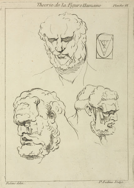 Three studies of a mans head and beard