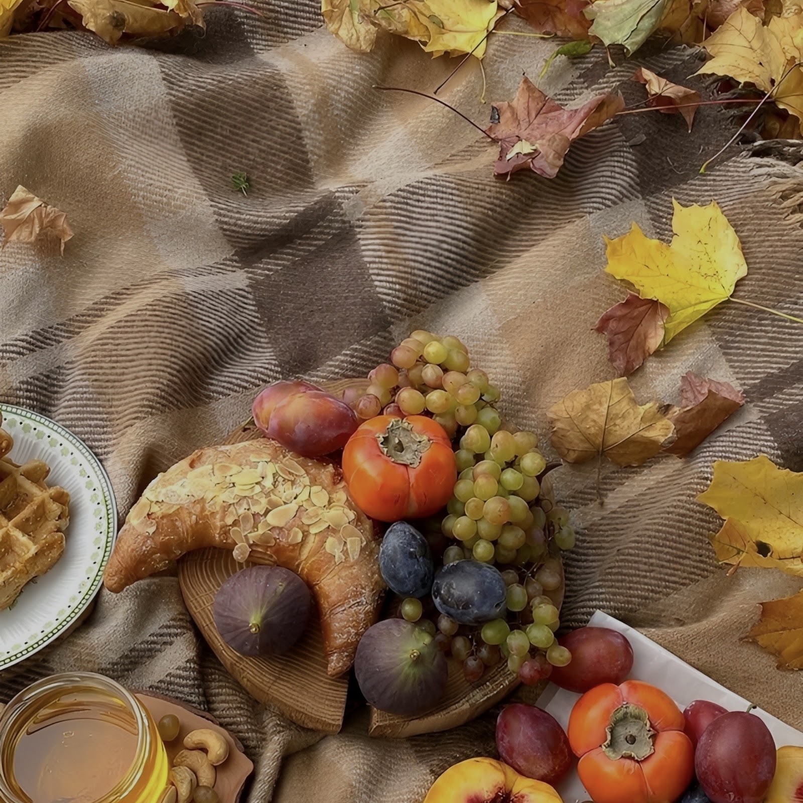 Download Cozy Autumn Picnic Food Spread Full HD iPhone