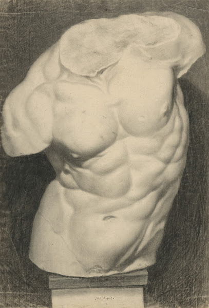 Torso casting study