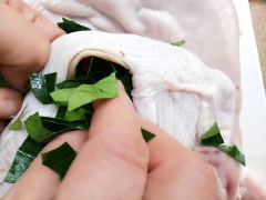 Nhồi lá mắc mật vào trong dạ dày heo. Dùng túi sạch buộc chặt đặt vào nồi rồi đổ nước ngập cùng vài cái hoa hồi, quế. Đặt lên bếp đun sôi sau đó hạ bớt lửa khoảng 3-5 phút rồi tắt bếp, vớt dạ dày ra.