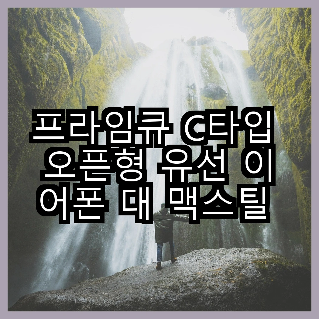 프라임큐 C타입 오픈형 유선 이어폰 대 맥스틸 C타입 오픈형 유선 이어폰, 가성비 분석 썸네일