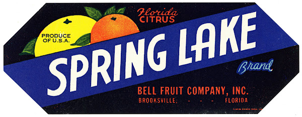 Spring Lake Brand Florida Citrus Label 1930 1950