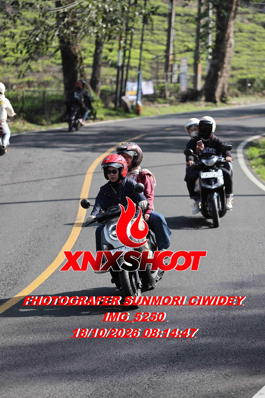 IMG_5250_result.jpg