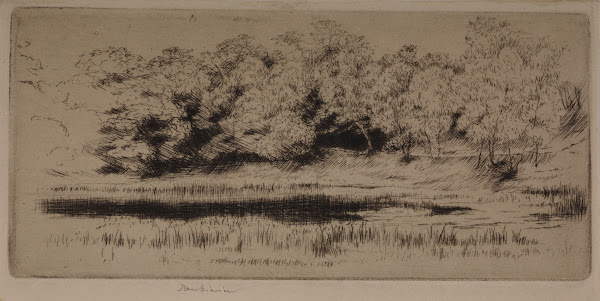 Villebon pond 1902