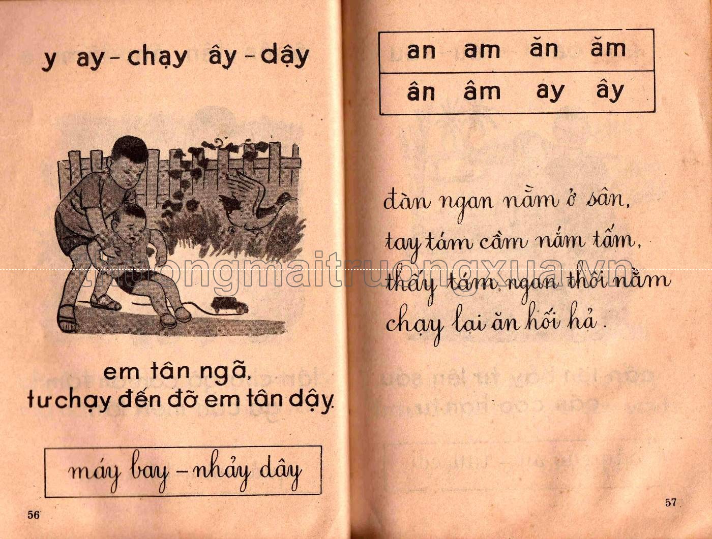 Học vần  - Trang 29