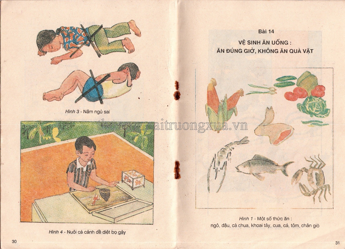 Sức khỏe 1 (1992) - Trang 16