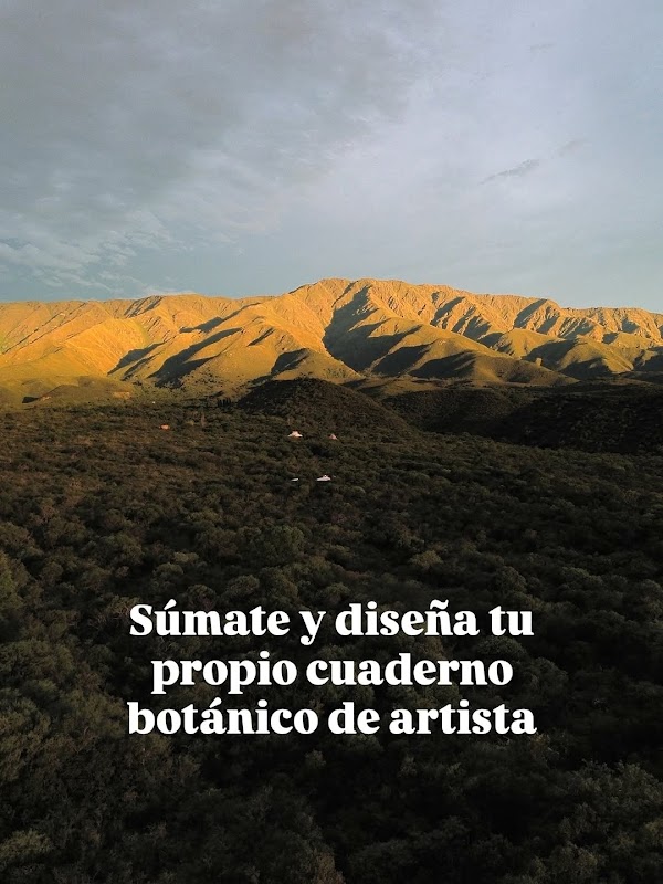 Bitácora del Monte