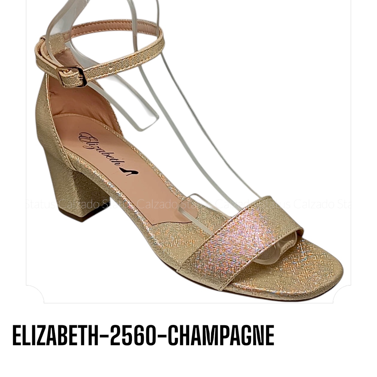 ELIZABETH-2560-CHAMPAGNE