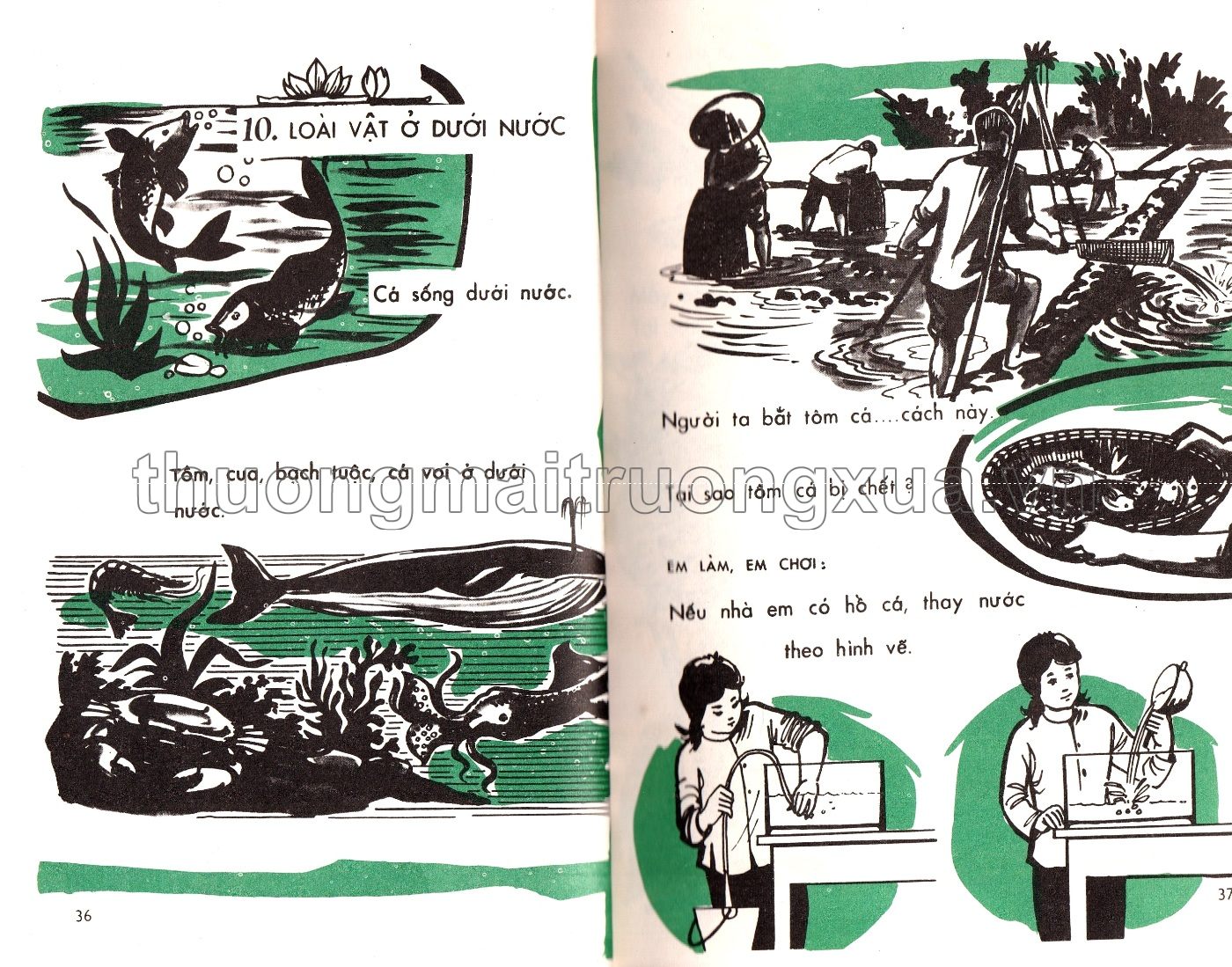 Em tìm hiểu khoa học lớp một (1971) - Trang 19