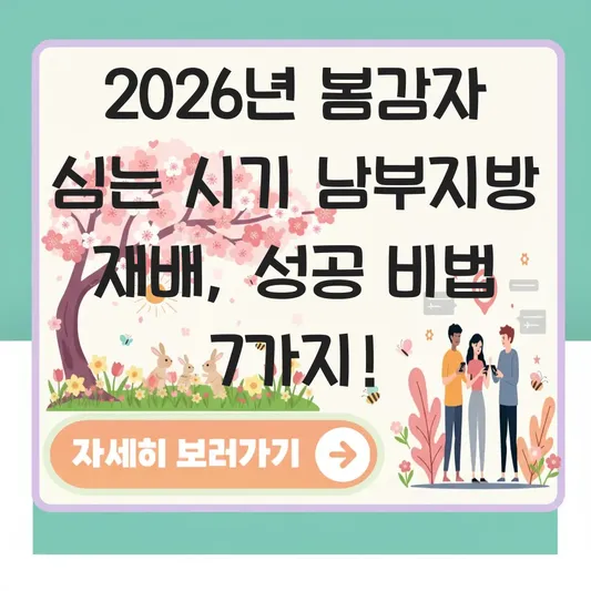 봄감자 심는 시기 남부지방 재배