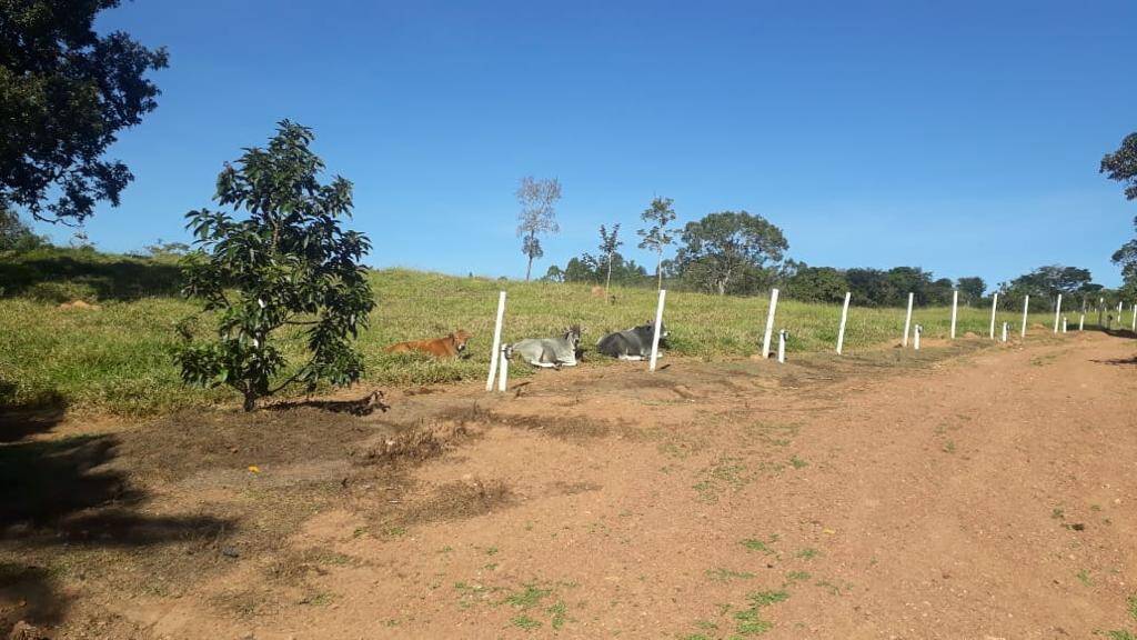 Chácara em São Miguel do Passa Quatro-GO 4