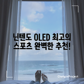 닌텐도 스위치 OLED, 닌텐도 가격, 스포츠 타이틀 추천, 레그스트랩 사용법, 게임 필름 리뷰