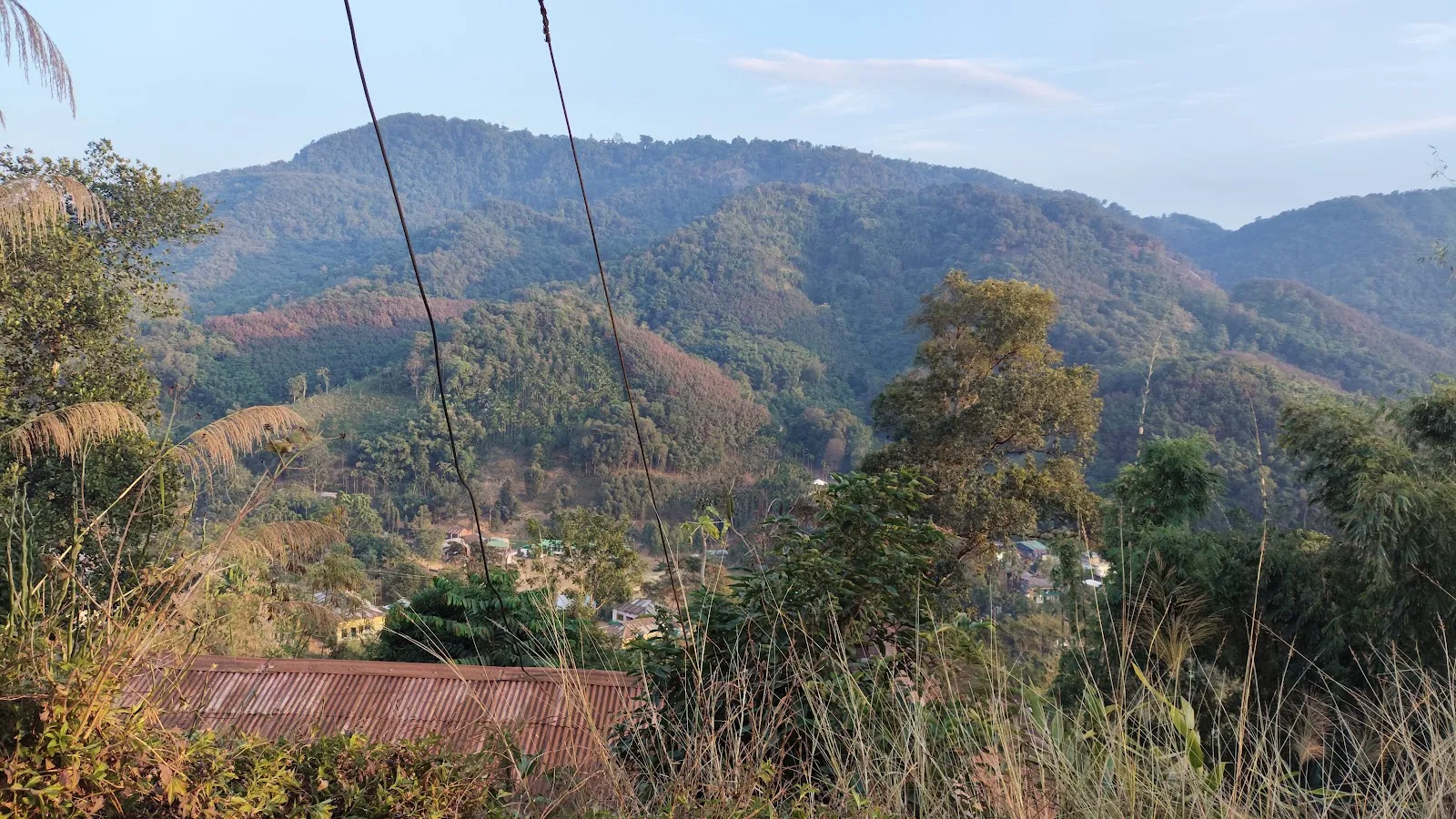 Tuli Town