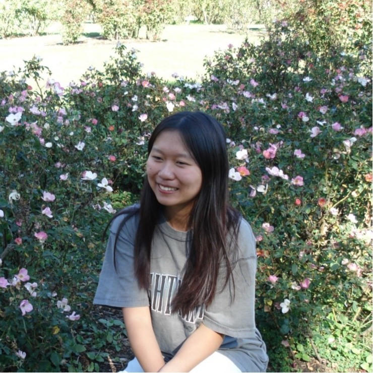 profile of Phoebe Ng