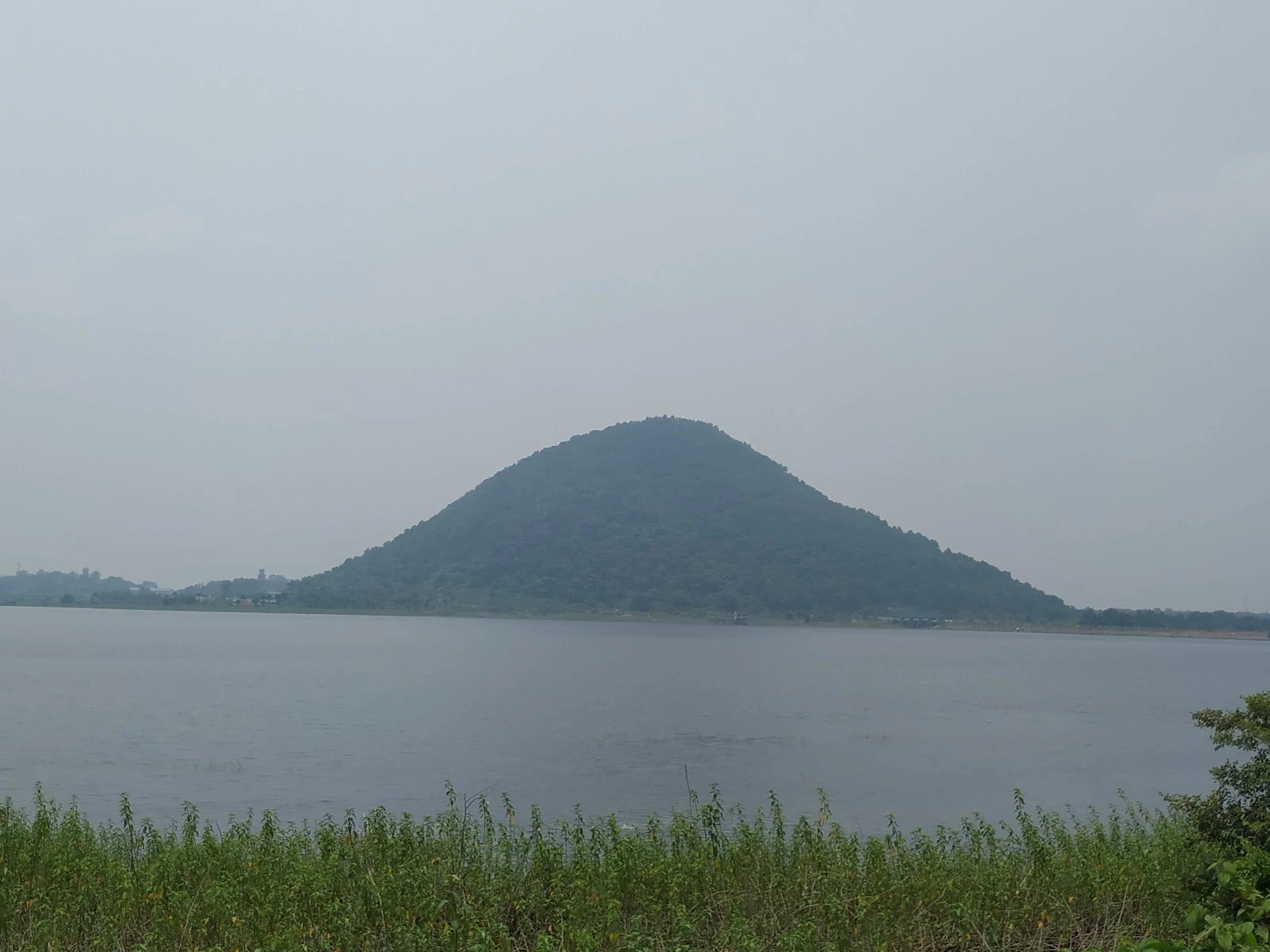 Murardi