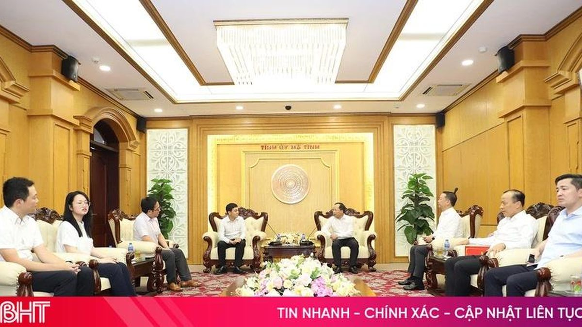 Lãnh đạo Hà Tĩnh làm việc với Công ty Mirabo Global và đối tác Nhật Bản - Báo Hà Tĩnh