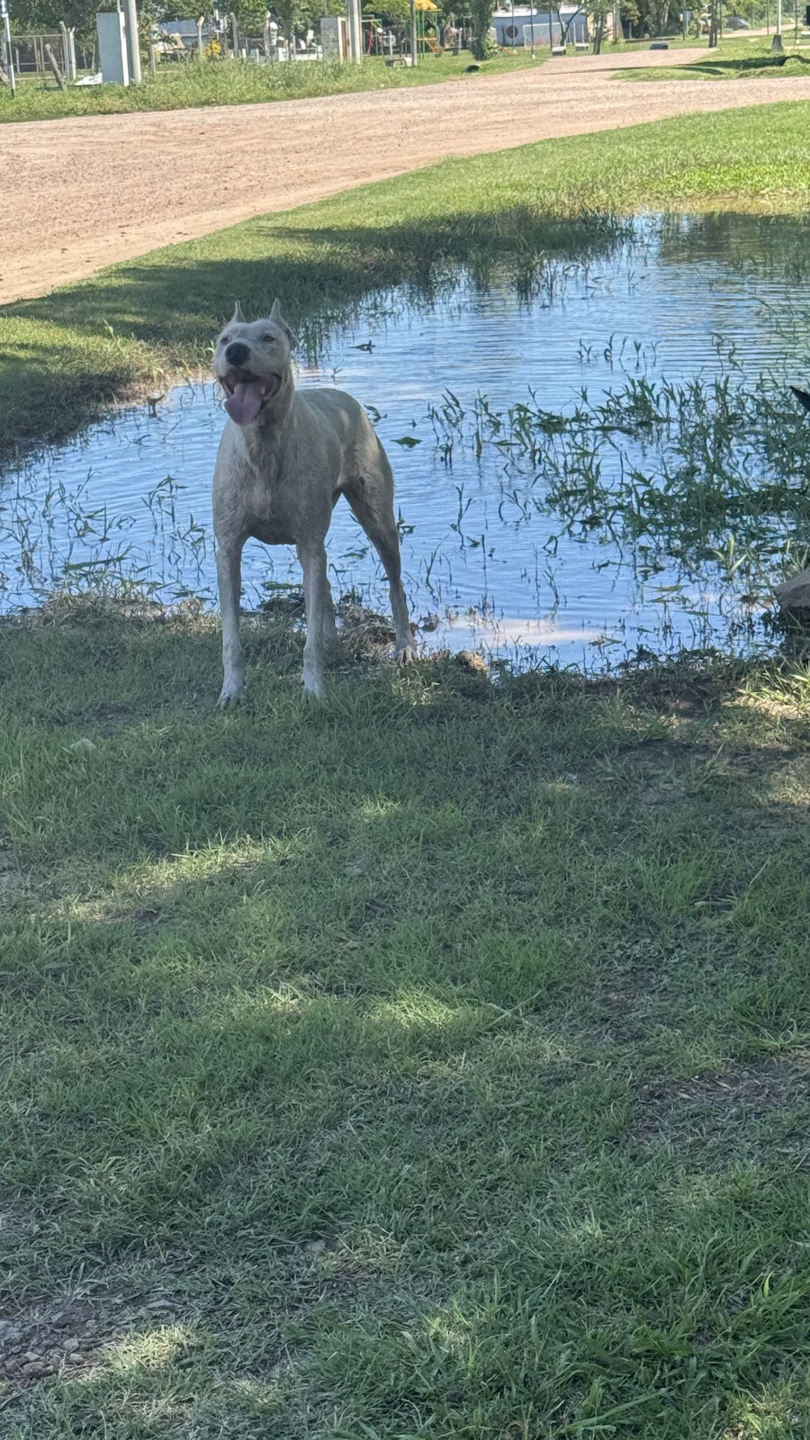 Fiona