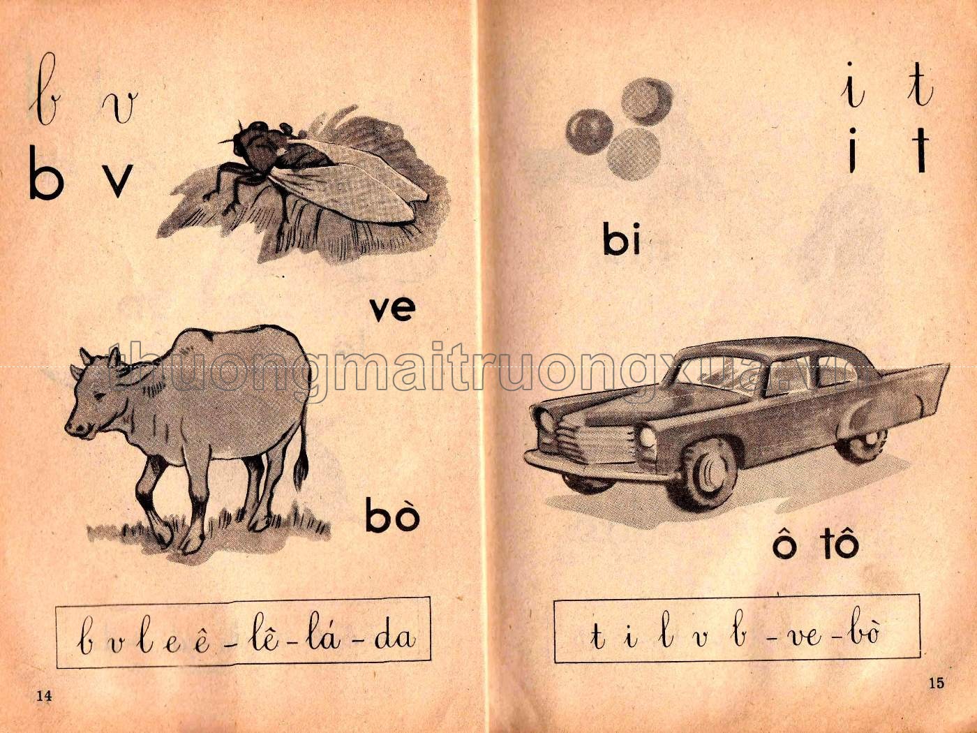 Học vần  - Trang 8