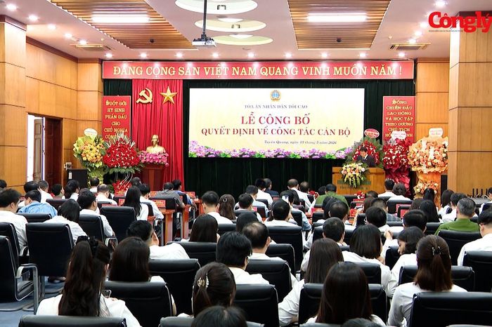 Ông Bùi Đức Thuận làm Chánh án tỉnh Tuyên Quang - Báo Công Lý
