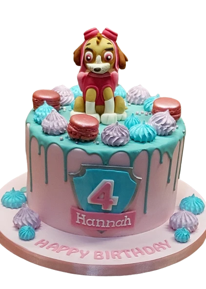 Paw Patrol Macarons & Meringue Topped Birthday Cake CB-NC611