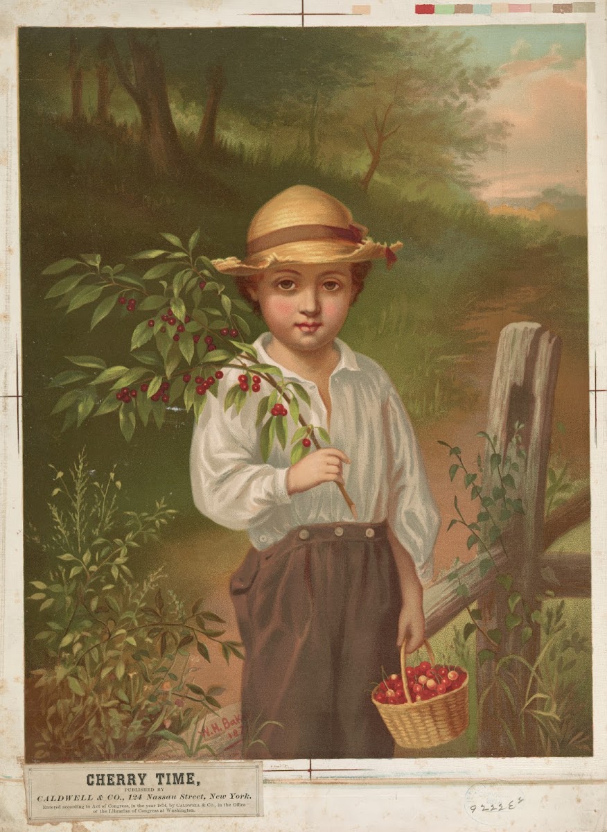 Cherry time 1874
