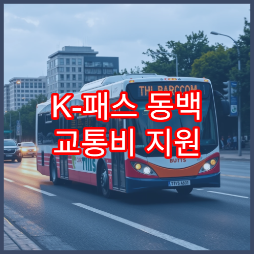 K-패스 동백 교통비 지원 구조, 모두의 카드 비교 정리