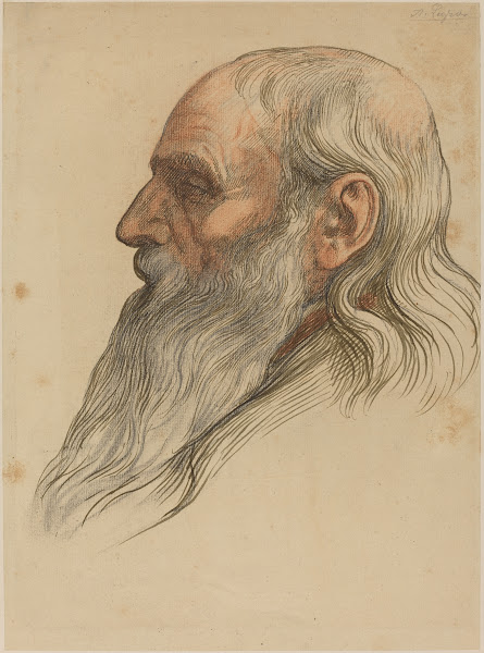 Study of a Mans Head with a Full Beard