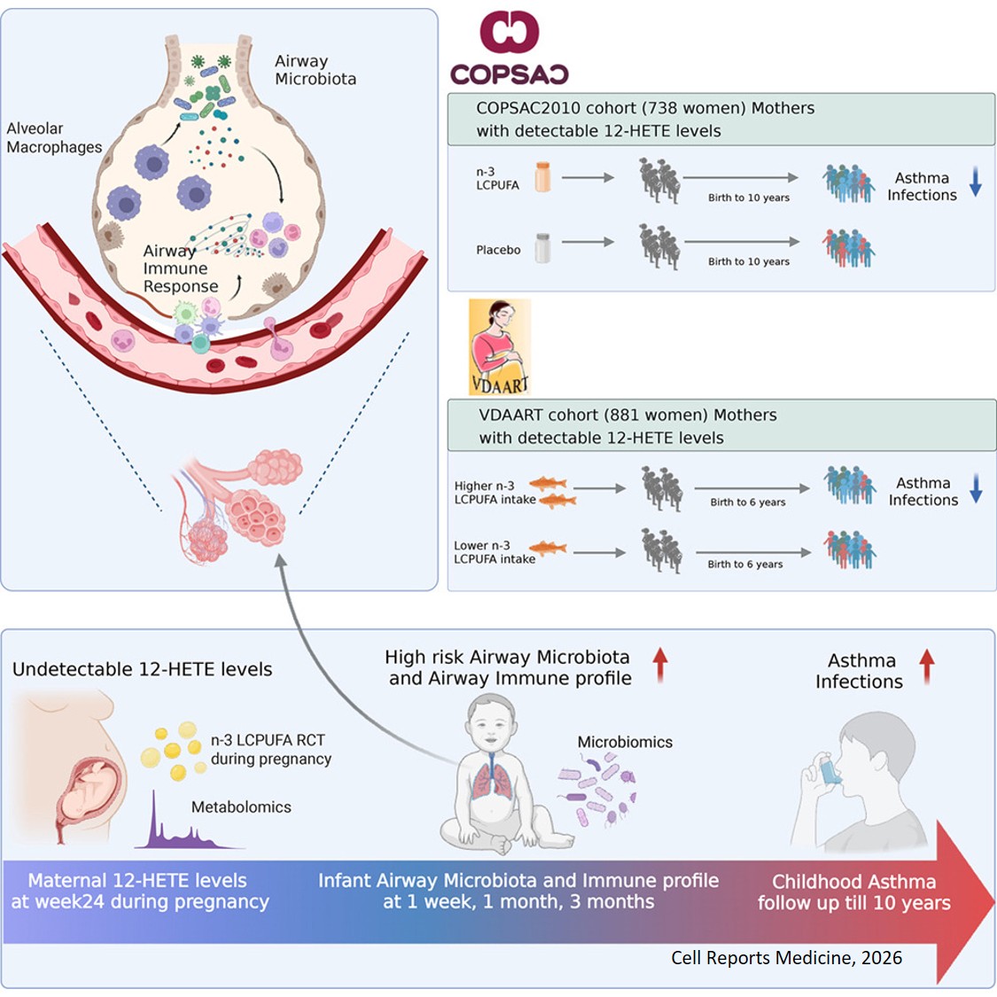 Maternal 12-HETE is associated with childhood asthma and the responses to prenatal omega-3 supplementation