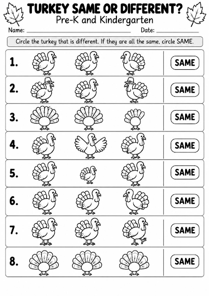 Turkey Visual Discrimination Worksheet