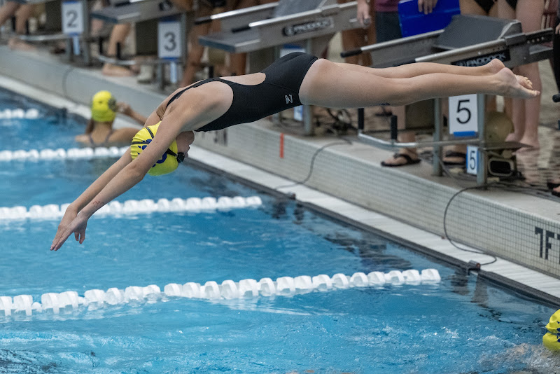 Photo from MS: Swim & Dive