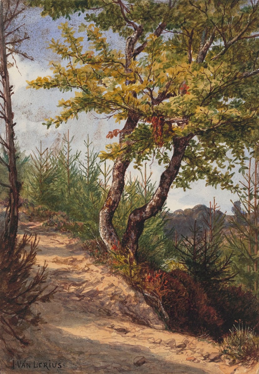 Schwalbach Nassau 1868