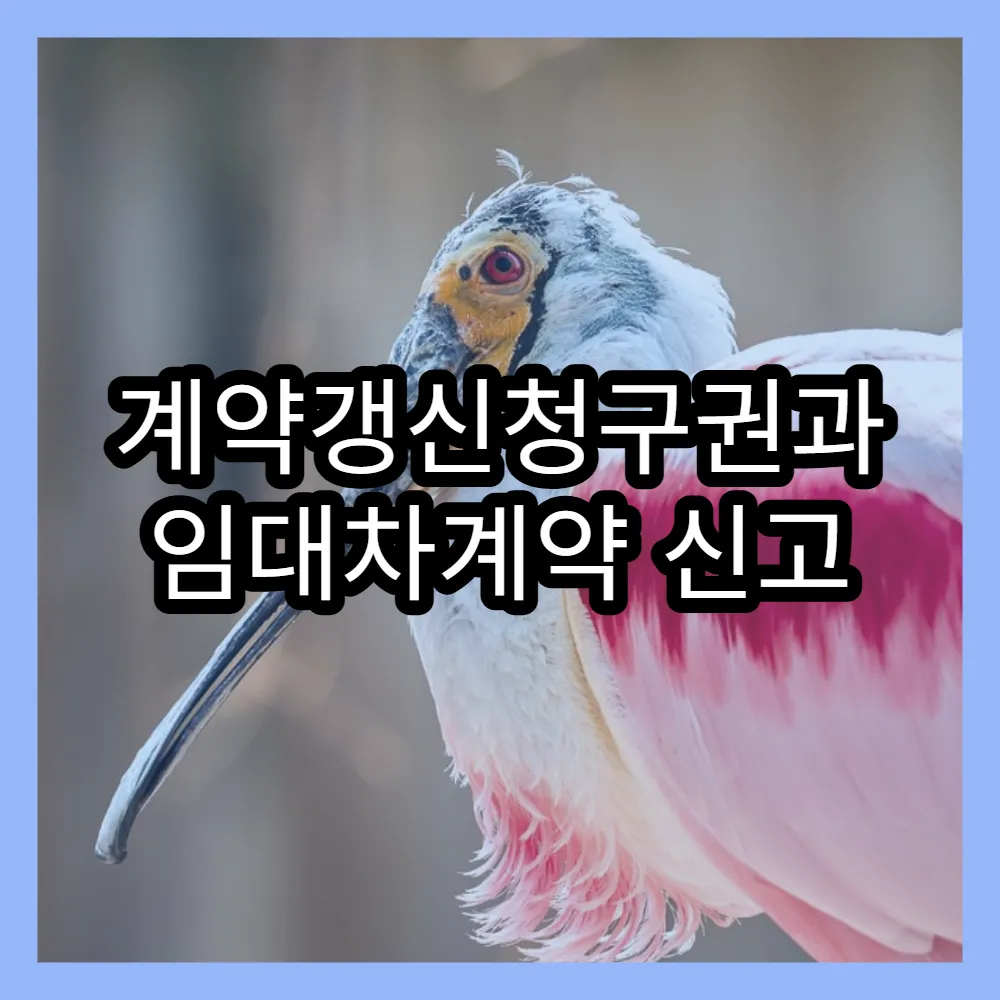 계약갱신청구권과 임대차계약 신고 의무의 연관성