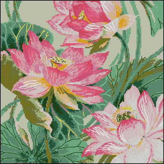 CMP 171440 Lotuses
