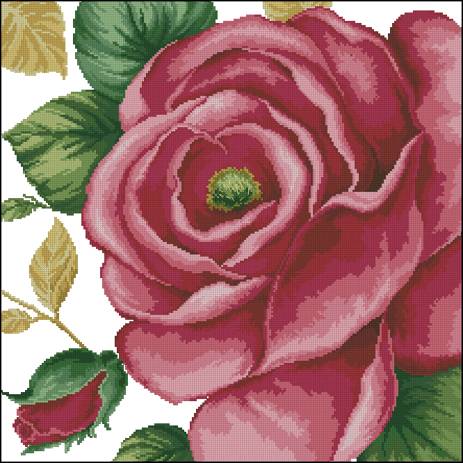 DOME41103 Rose Pink