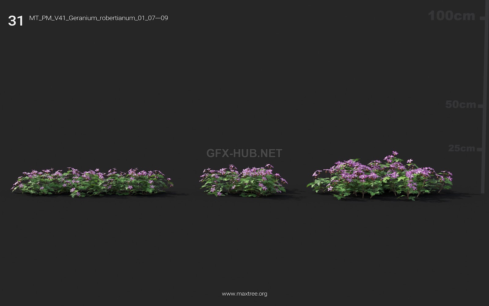 Maxtree - Plant Models Vol.41