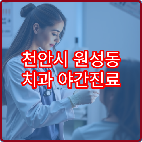 천안시 원성동 치과 야간진료 병원 리스트 업데이트