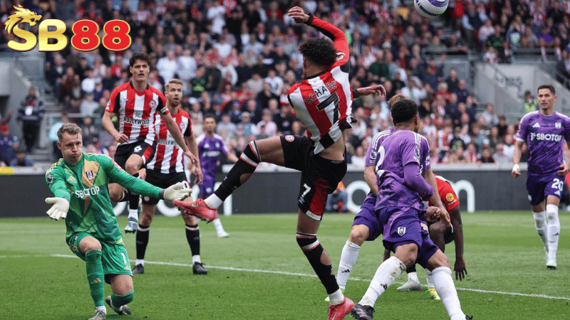 Lịch sử đối đầu Fulham vs Brentford