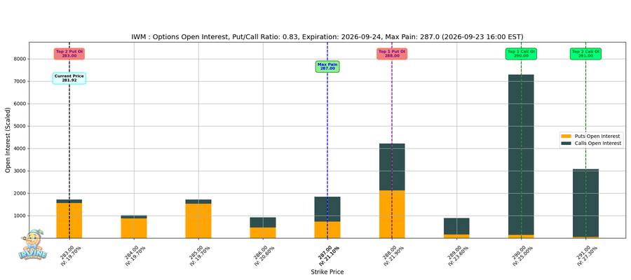 IWM Options
