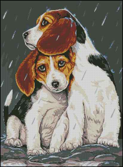 CMP 400172 Brotherly Protection